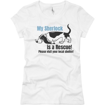 Visit an Animal Shelter Junior Fit Basic Bella Favorite Tee