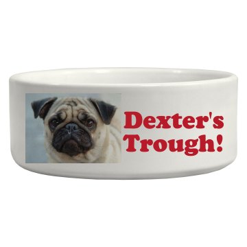 Dexter's Food Pic Upload Ceramic Pet Bowl