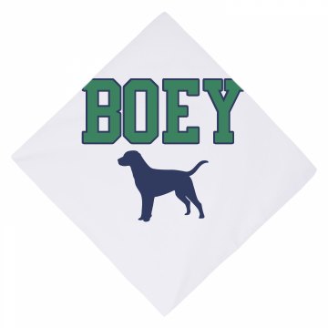 Boey's Bandana Dog Bandana