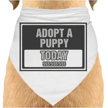 Adopt Today Sign Dog Bandana