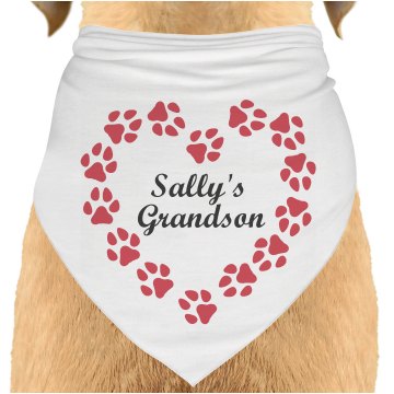Sally's Grandson Dog Bandana