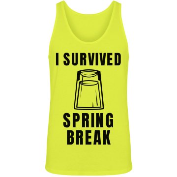 I Survived Spring Break Junior Fit Bella Crewneck Jersey Tee