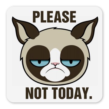 Grumpy Cat Magnet Square Magnet