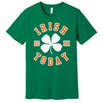 Irish Today Unisex Gildan Heavy Cotton Crew Neck Tee