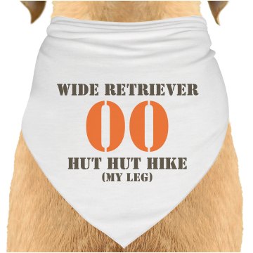 Football Wide Retriever Dog Bandana