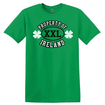 Property Of Ireland Unisex Gildan Heavy Cotton Crew Neck Tee