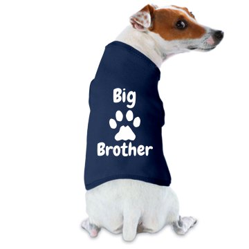 Big Brother Doggie Skins Dog Ringer Tee