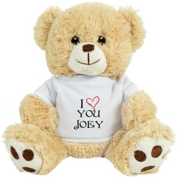 I Heart You Medium Plush Teddy Bear