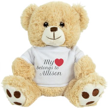 My Heart Belongs To Small Plush Teddy Bear