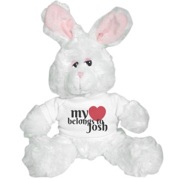 My Heart Belongs To Bunny Plush Bunny