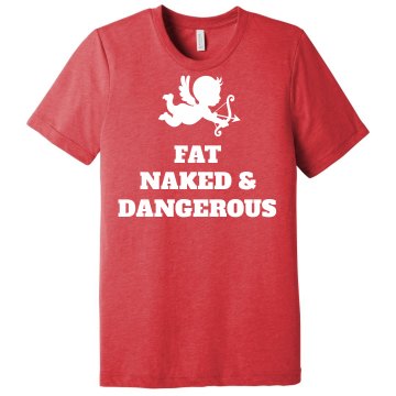 Fat. Naked. Dangerous Junior Fit Basic Bella Favorite Tee
